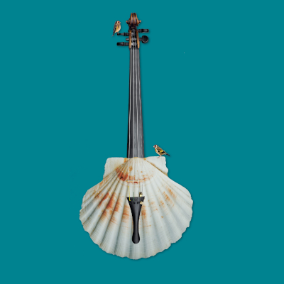 Imagen Camino de Santiago