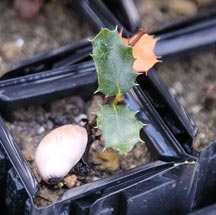 Imagen Ayudas y subvenciones