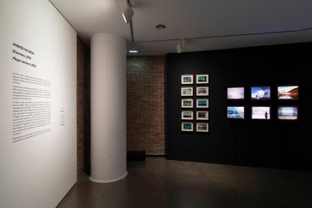 Andrés Pachón. Dioramas, 2012. Instalación. Dimensiones variables. Cortesía del artista y de la Galería Ángeles Baños. Foto: Javi Broto