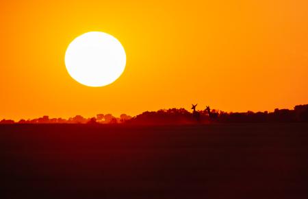 Fantasmas de la ventisca, obra ganadora de Julio Javier Ara