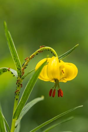 Fantasmas de la ventisca, obra ganadora de Julio Javier Ara