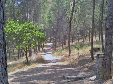 Imagen Parque Forestal La Sierra. Ballobar