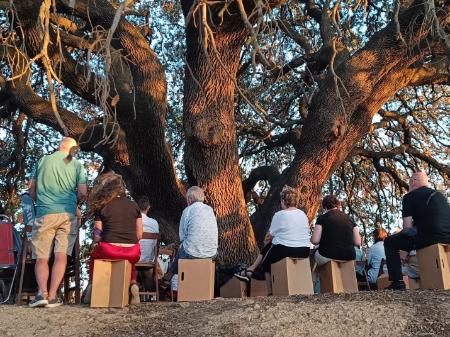 Imagen Carrasca de Larredán. El Pueyo de Santa Cruz