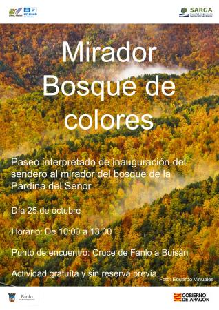 Imagen El bosque de los colores