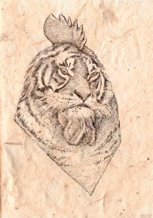 El Gallitigre. Ilustración de Javier Sáez Castán