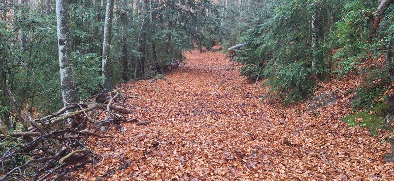 Imagen La Comarca de Sobrarbe avanza en el proyecto de limpieza y recuperación de senderos incluidos en el Plan de Sostenibilidad Turística en Destino