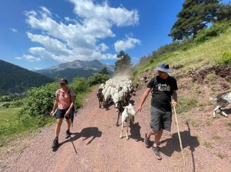 Abierta la matrícula para el nuevo curso de Escuela de Pastoreo de Aragón, con el impulso de la Diputación Provincial de Huesca